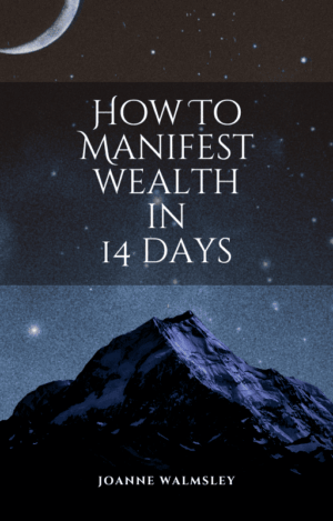 How to Manifest Wealth in 14 Days - eBook